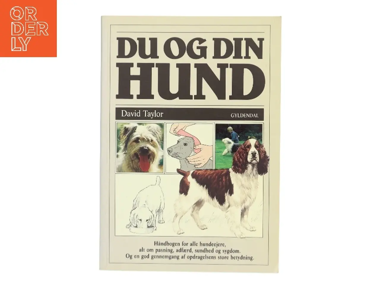 Billede 1 - Du og din hund af David Taylor (Bog)