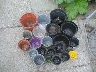 Plastik urtepotter