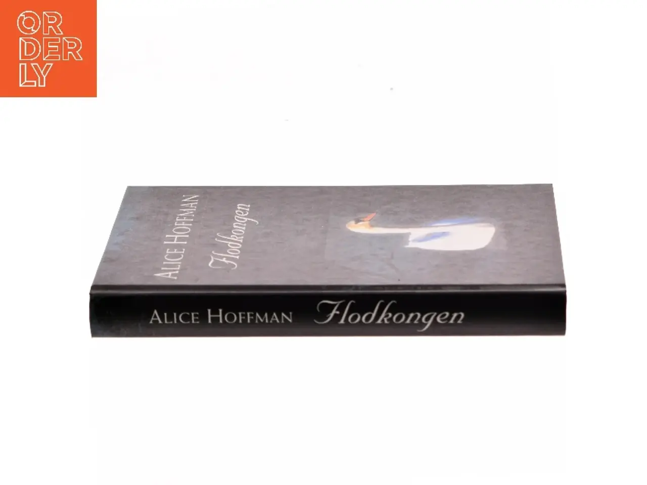 Billede 2 - Flodkongen af Alice Hoffman (Bog)