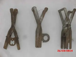 Muldvarpsaks