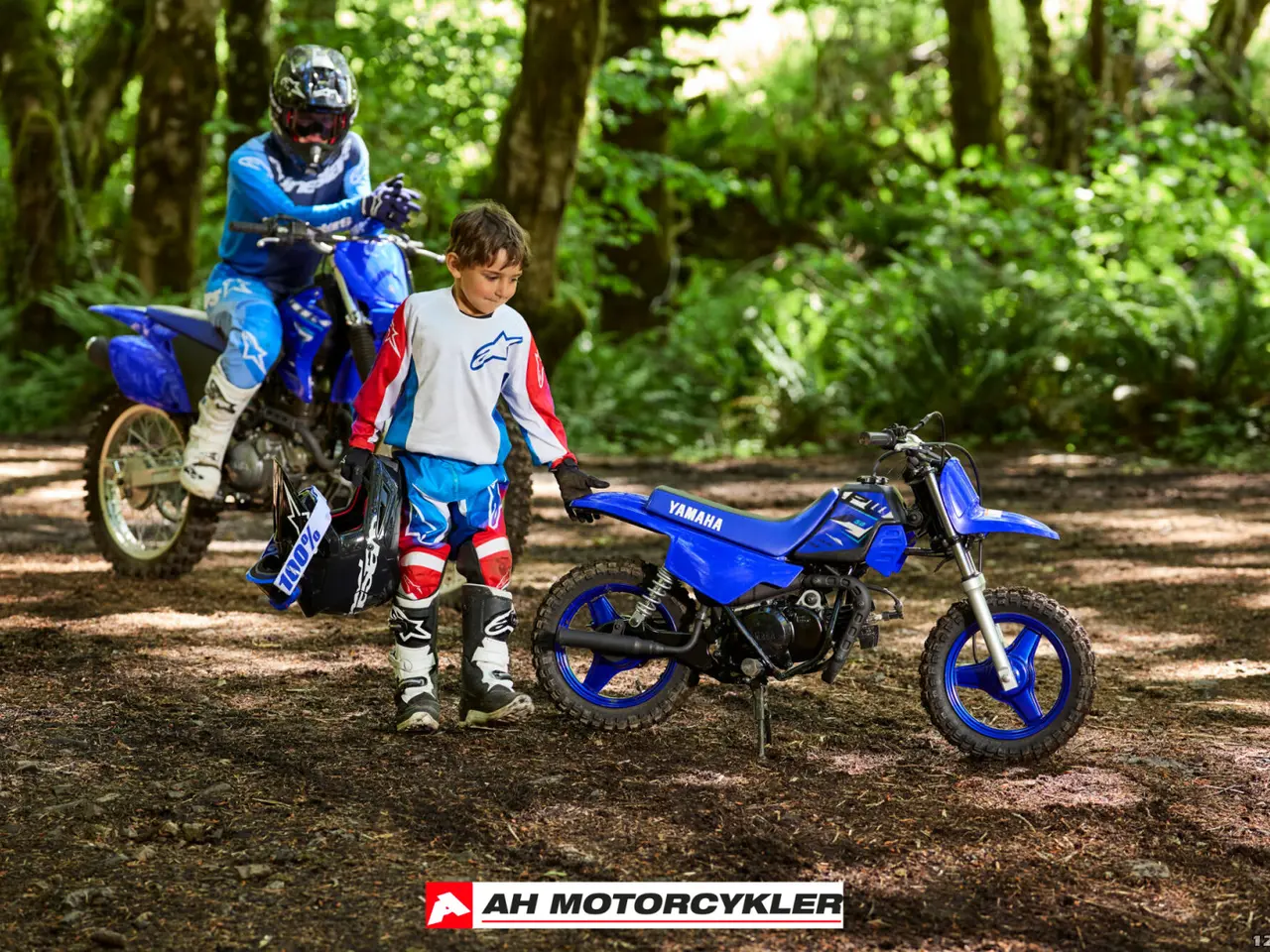 Billede 10 - Yamaha PW 50