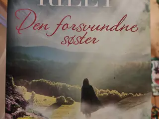 Den forsvundne søster BOG af Lucinda Riley