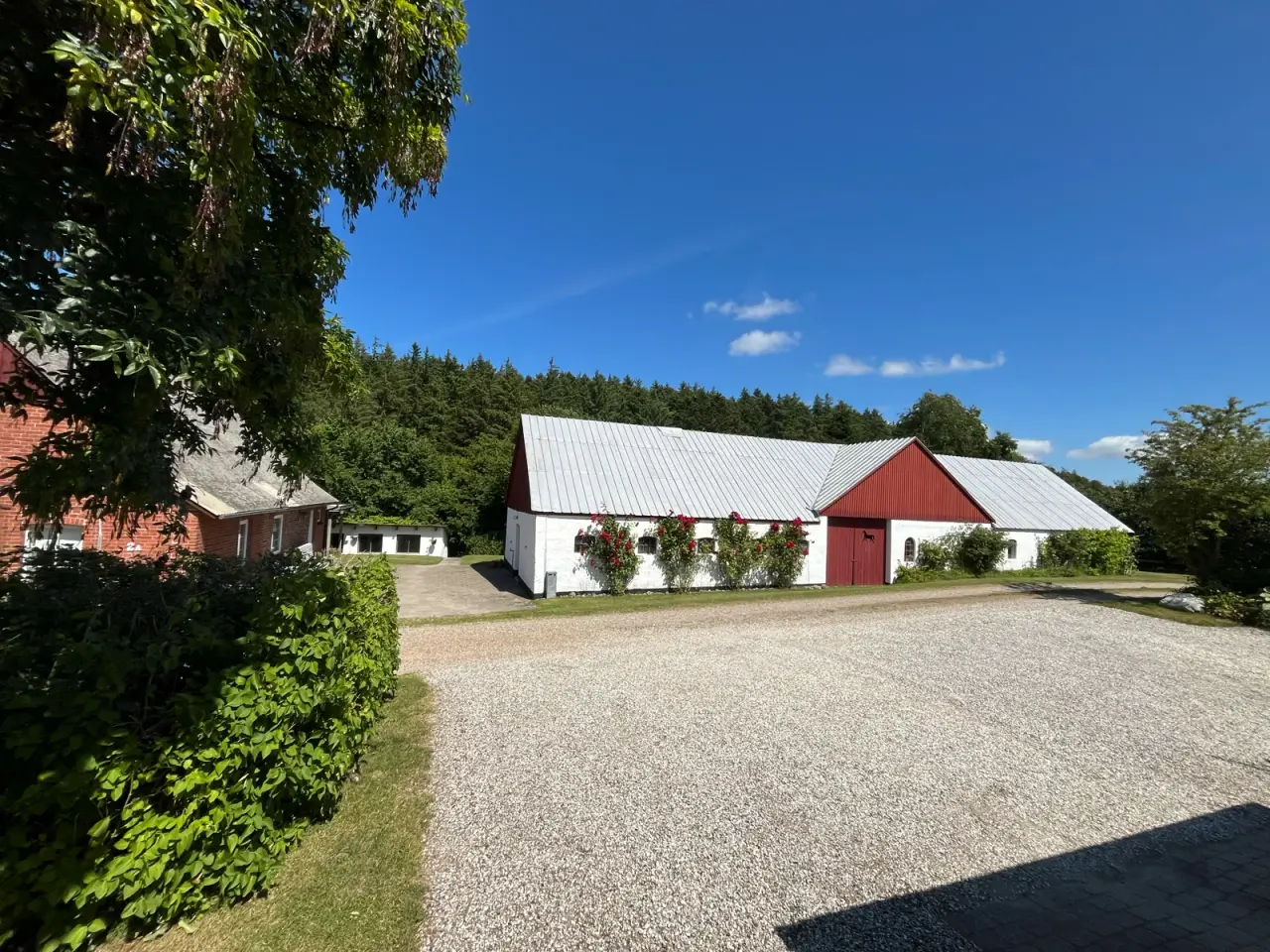 Billede 5 - Grund ved Limfjorden og Glyngøre på ca. 9000m2.