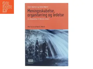 Meningsskabelse, organisering og ledelse (Bog)