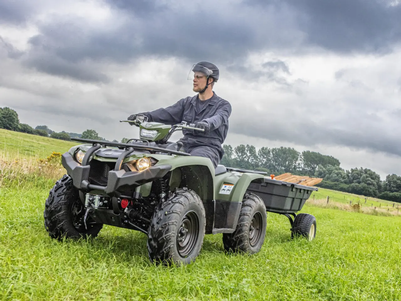 Billede 2 - Yamaha Kodiak 450 EPS Diff-lock Traktor