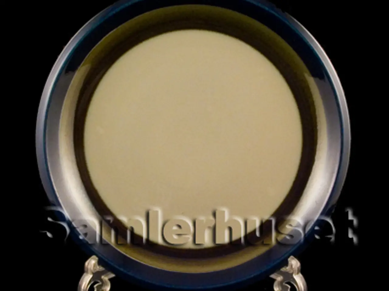 Billede 1 - Elisabeth Tallerken Flad 24½ cm.