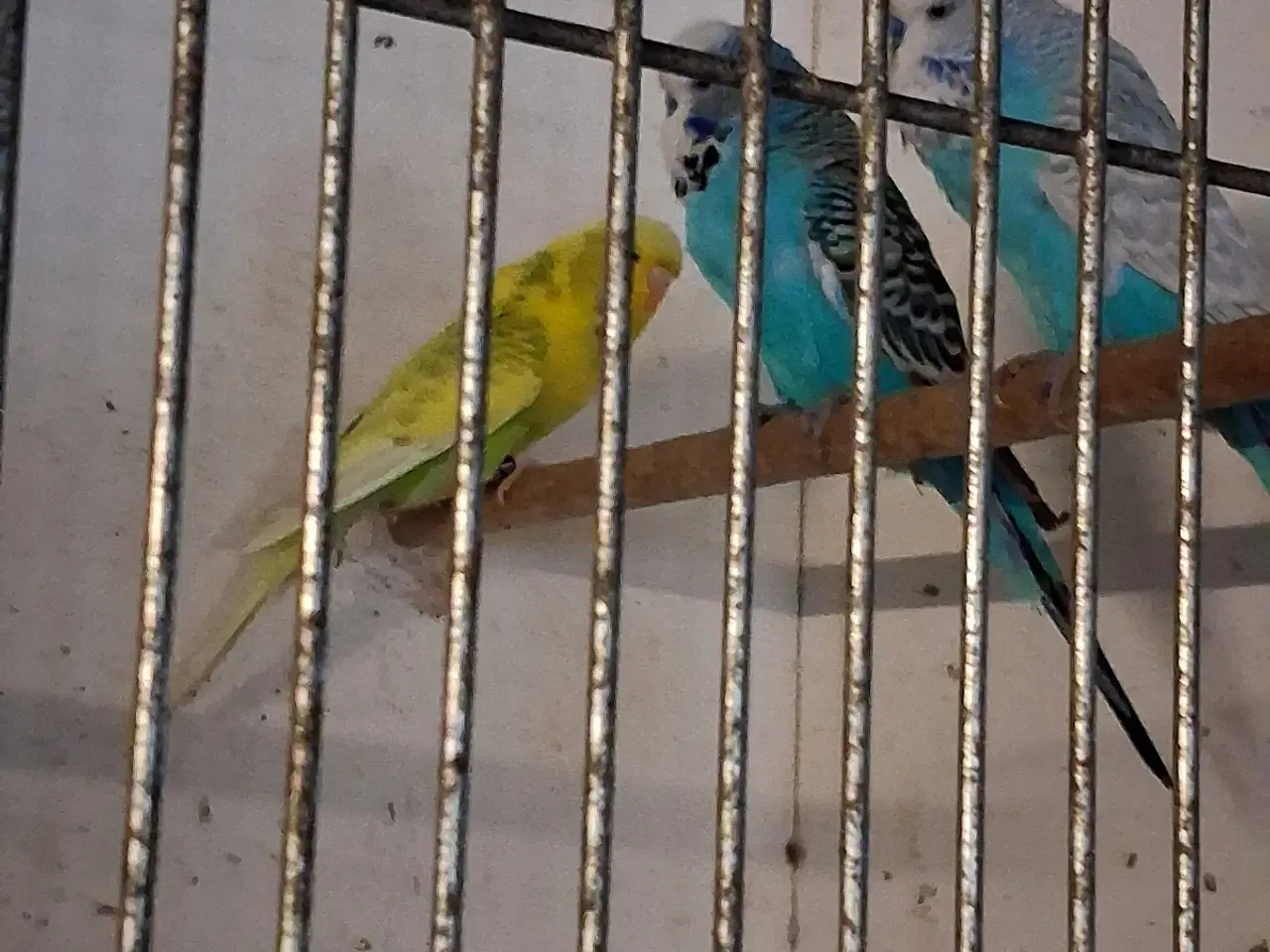 Billede 2 -