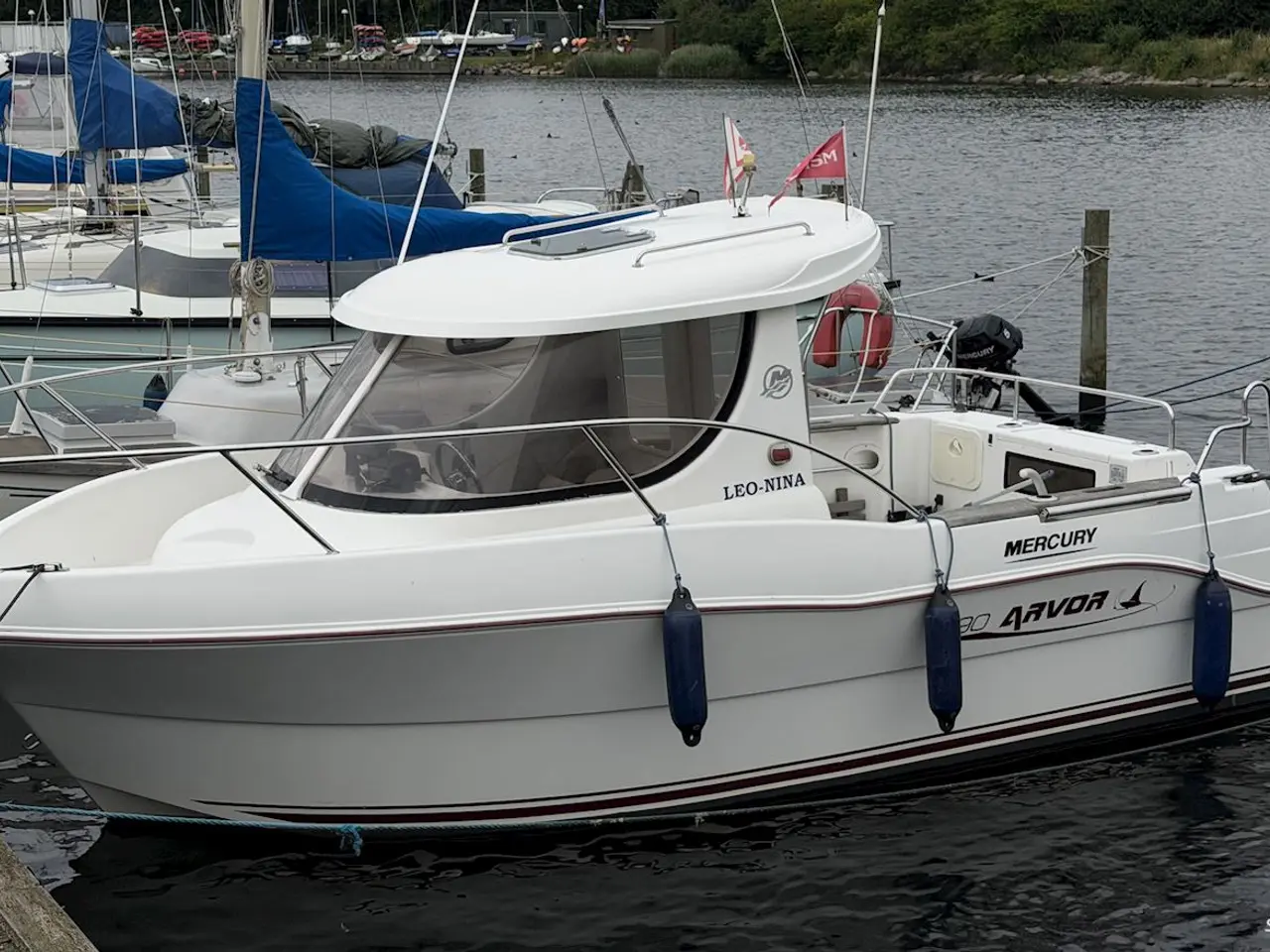 Billede 2 - Arvor 190