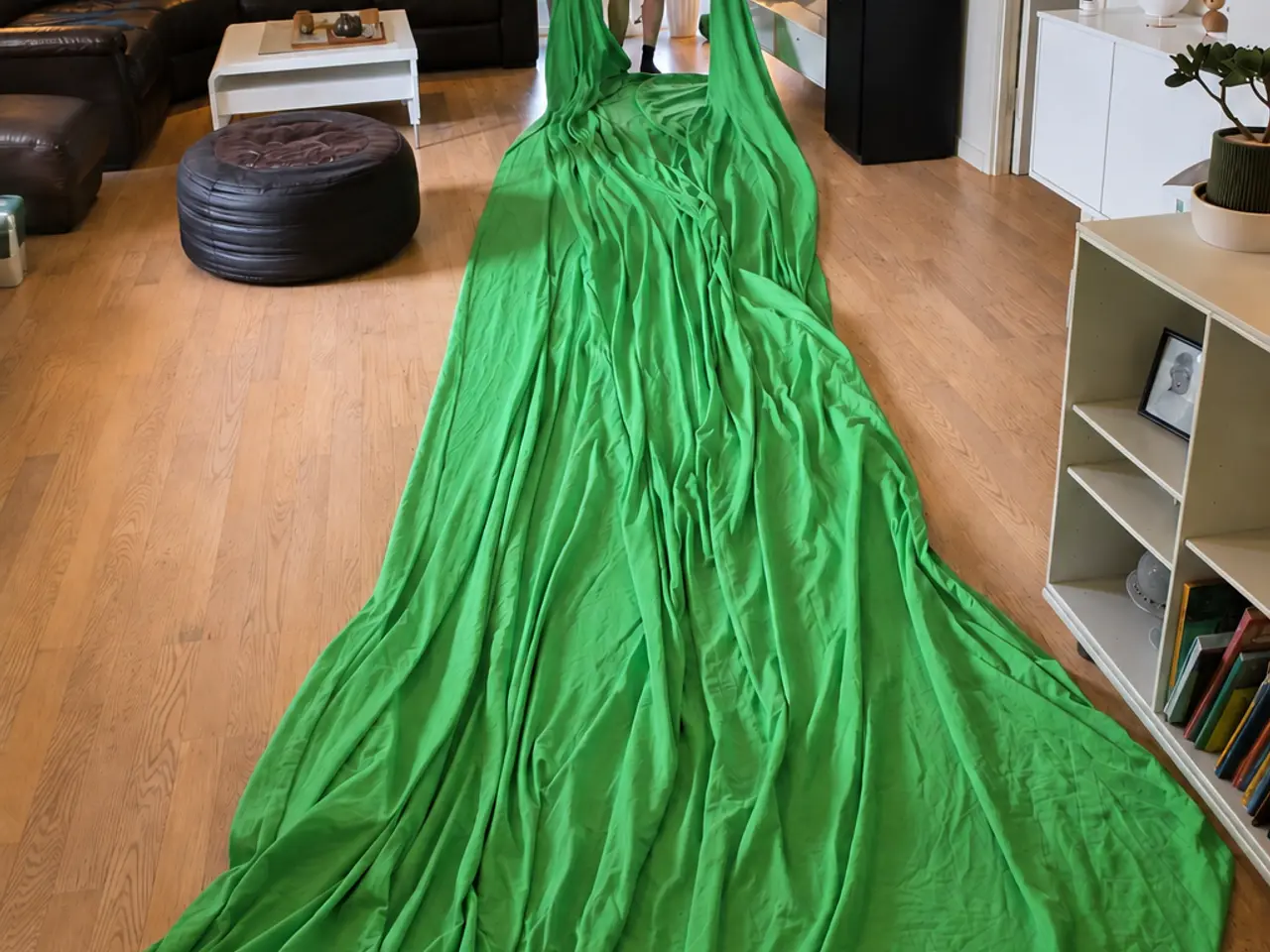 Billede 3 - Professionel Lastolite green screen 3×7 m + taske