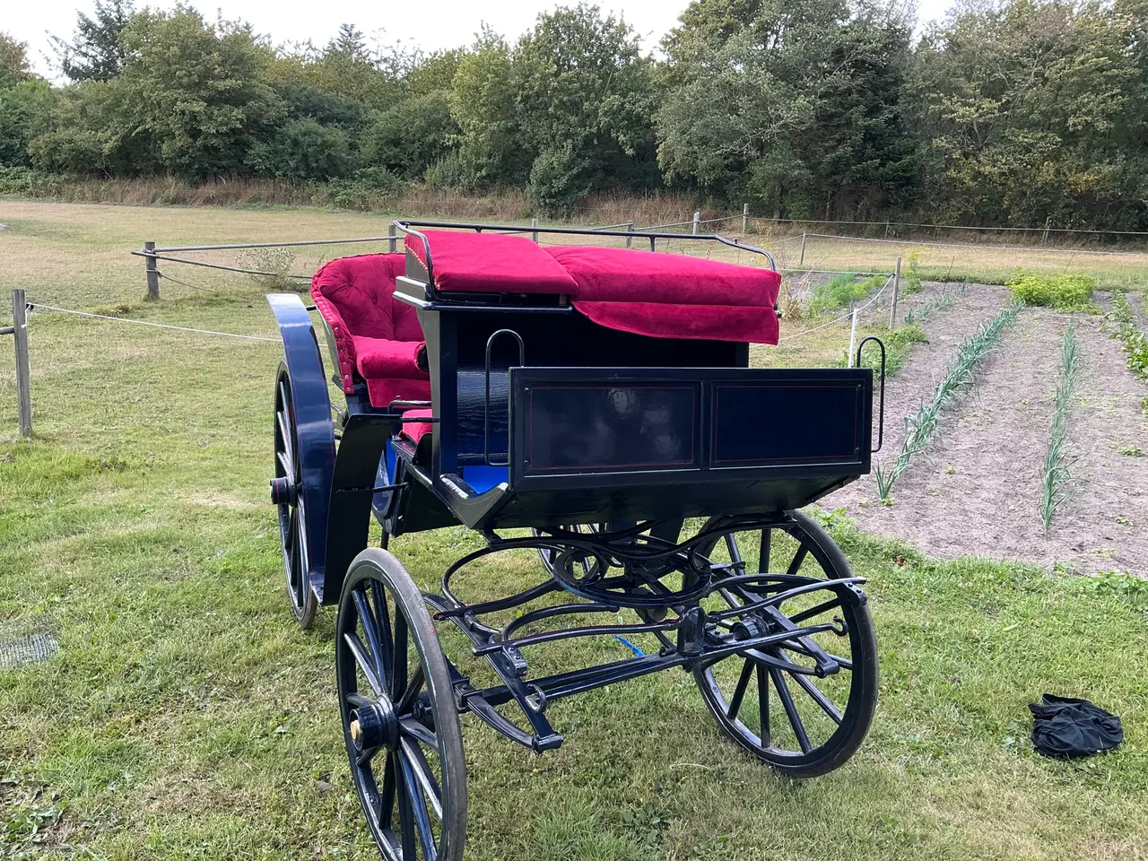 Billede 2 - Hestevogn - Ponyvogn med buk. Stor model