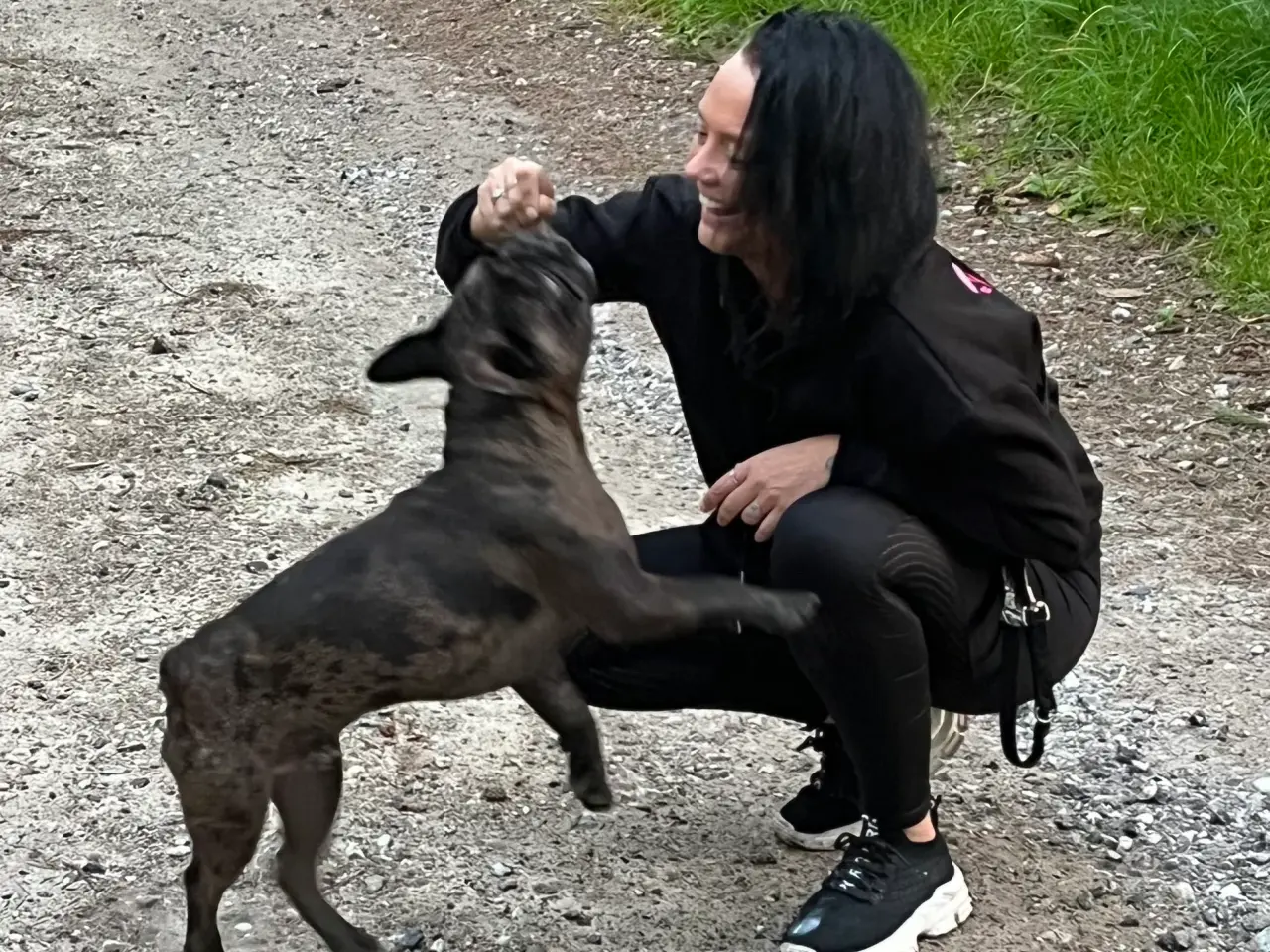 Billede 7 - Fransk bulldog søges