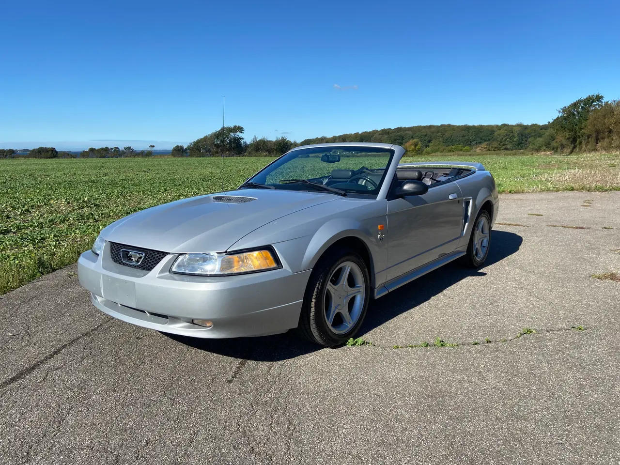 Billede 6 - Ford Mustang GT Cabriolet 4.6 V8