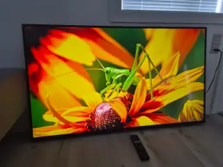 📺 Sony 55"  – 4K LED Smart TV 