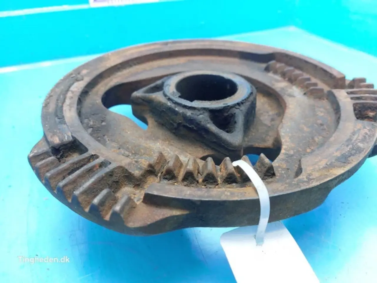 Billede 13 - New Holland 4860 Kamskive 84019174