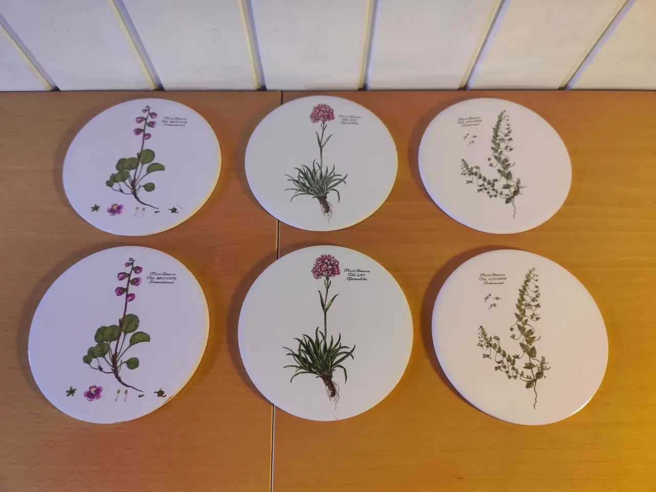 Billede 1 - Flora Danica sæt