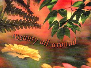 Chitta – Beauty All Around – CD