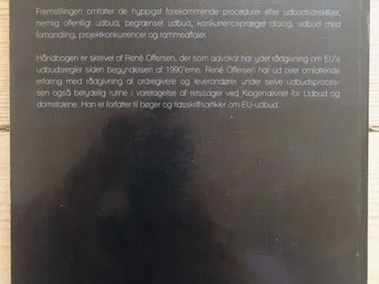 Billede 3 - Udbudsprocessen - René Offersen