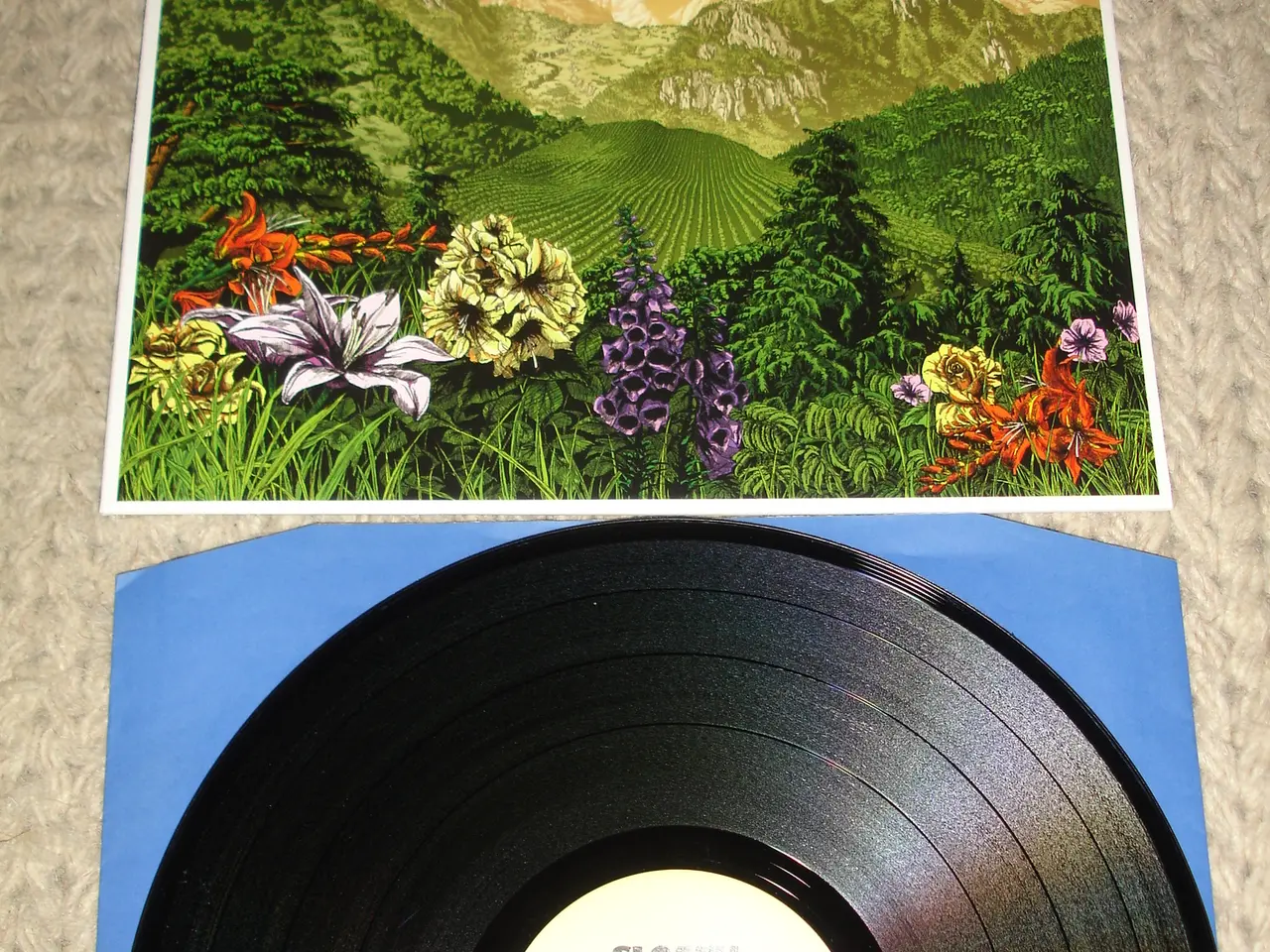 Billede 1 - (Sender gerne) Sloath – Deep Mountain
