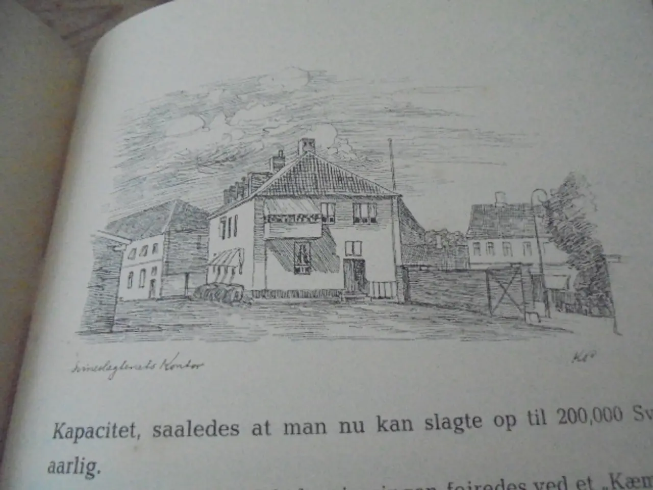 Billede 8 - Hvor dejene samles – se fotos og omtale