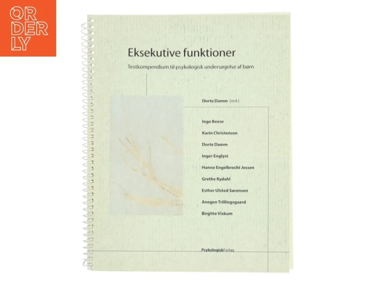 Billede 1 - Eksekutive funktioner : tekstkompendium til psykologisk undersøgelse af børn (Bog)