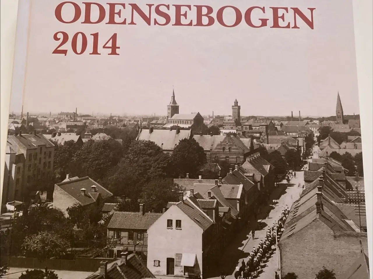 Billede 1 - ODENSEBOGEN 2014