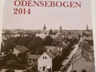 ODENSEBOGEN 2014