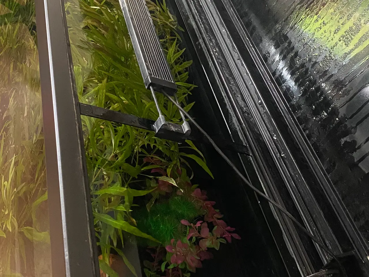 Billede 3 - Specielt bygget 280L akvarie