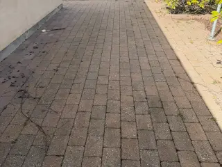 Holmegårdssten