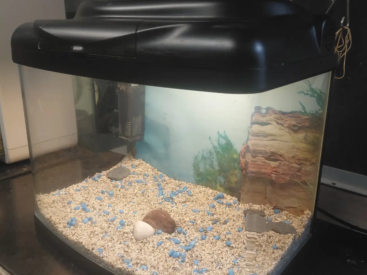 Billede 3 - Akvarier 20L