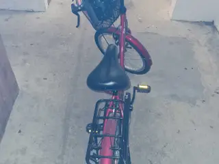 Pigecykel