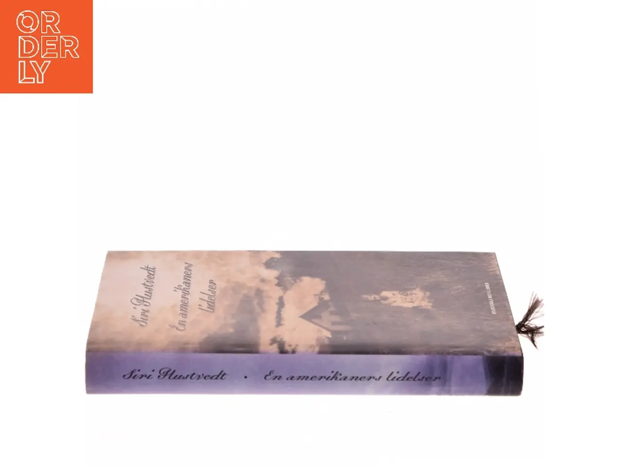 Billede 2 - En amerikaners lidelser af Siri Hustvedt (Bog)