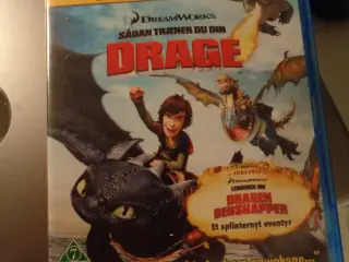 Sådan træner du din Drage