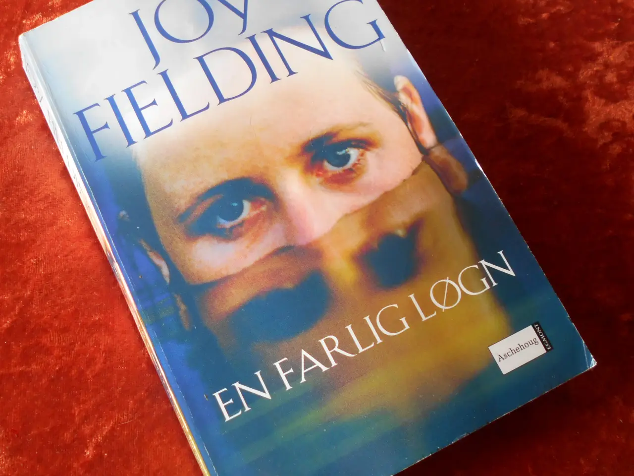 Billede 1 - En farlig løgn, Joy Fielding,