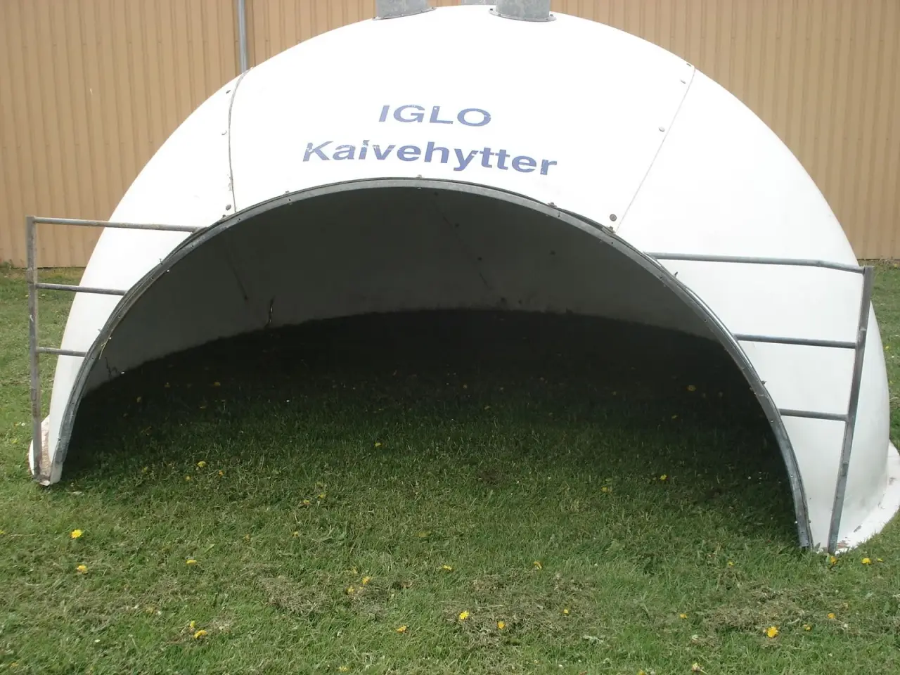 Billede 1 - Kalve Iglo