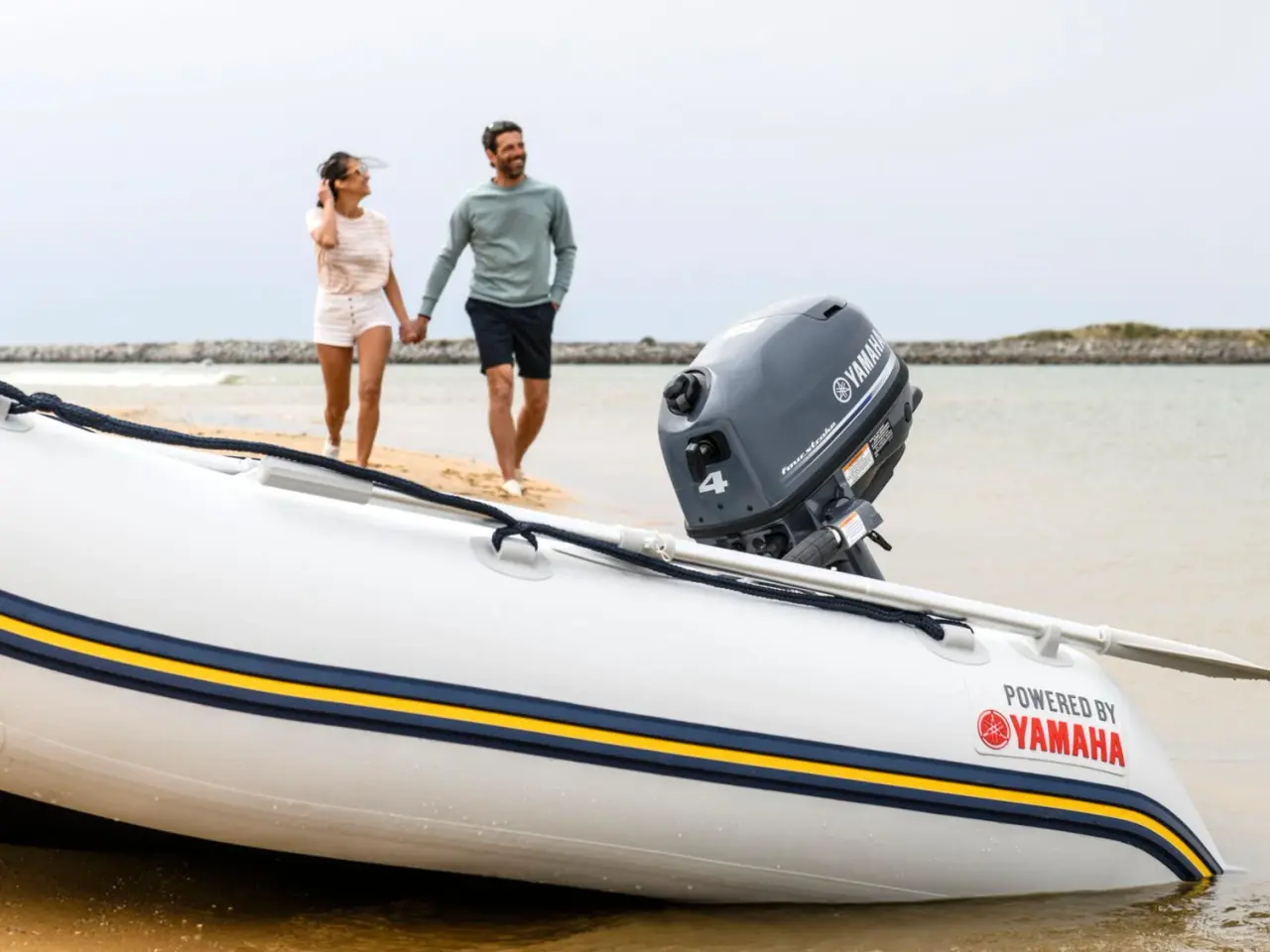 Billede 6 - Yamaha F4BMHS/L