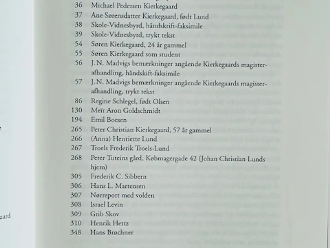 Billede 5 - Søren Kierkegaard truffet 