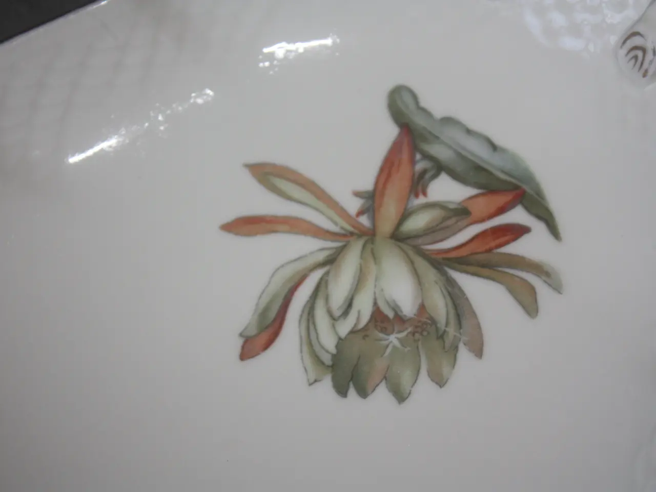 Billede 3 - Kaktus Bing og Grøndahl Fad 25,5 cm x 19 cm